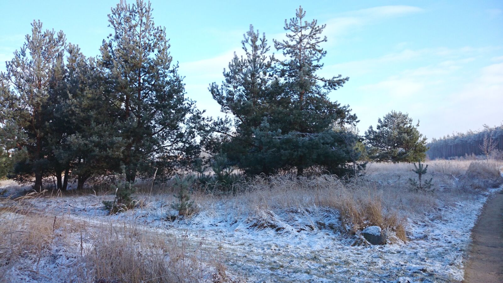 Sony Xperia Z1 Compact sample photo. Winter, snow, landscape photography