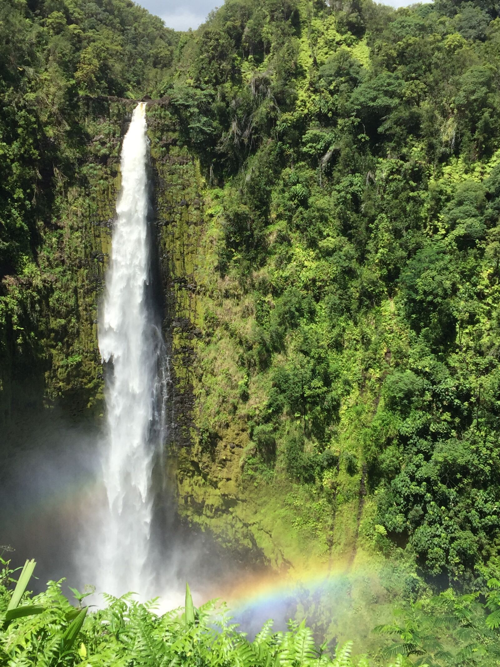 iPhone 6 Plus back camera 4.15mm f/2.2 sample photo. Akaka falls, hawaii, big photography