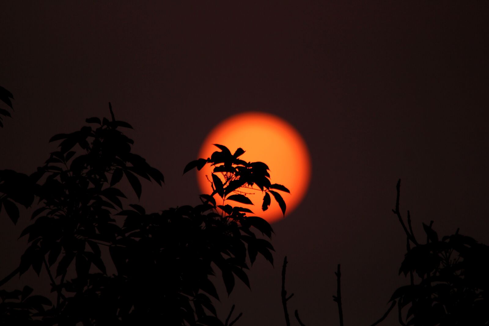 Canon EOS 700D (EOS Rebel T5i / EOS Kiss X7i) sample photo. Sun, sunset, sky photography