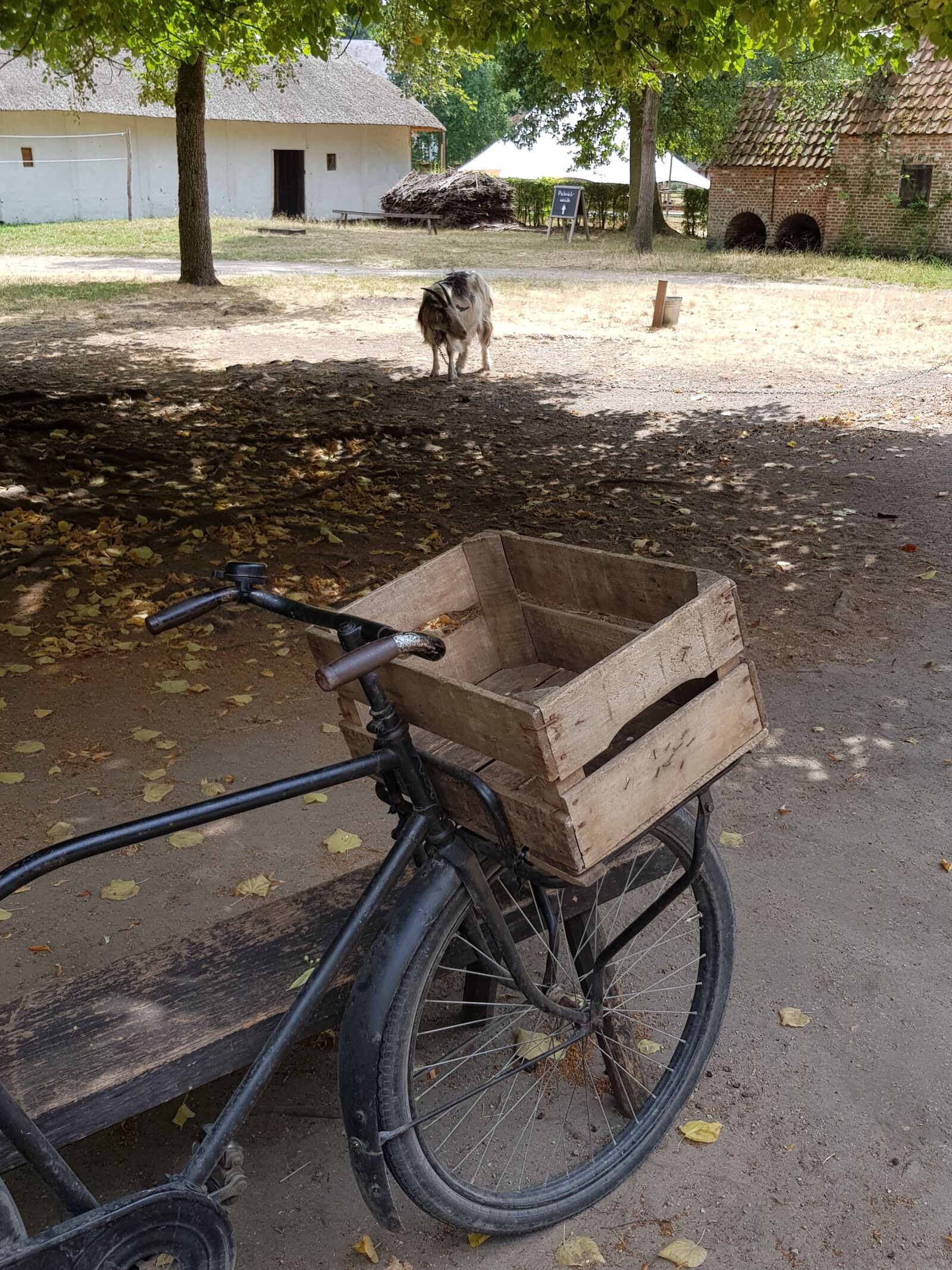 Samsung Galaxy S8 sample photo. Bicycle, old, tricycle photography