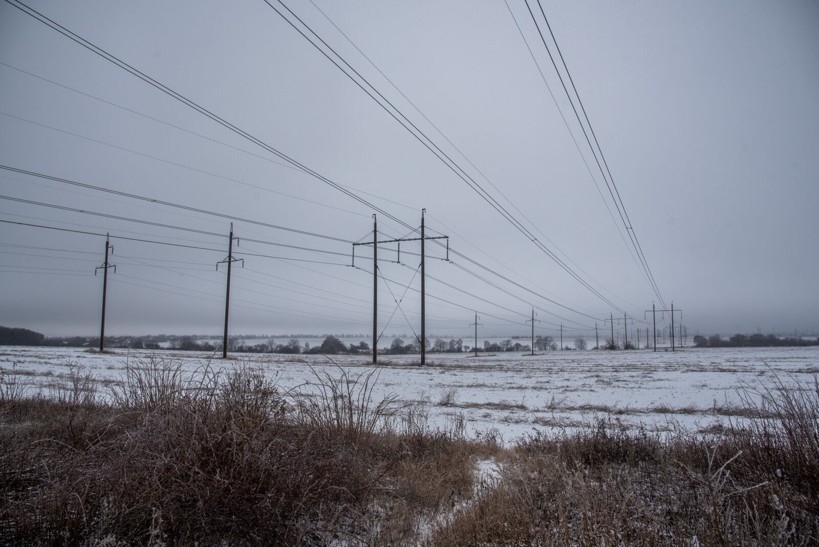 Nikon D750 sample photo