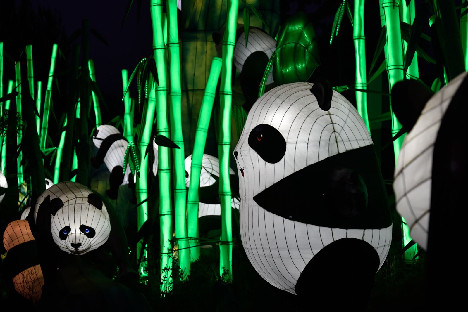 Nikon D750 sample photo. Lights chinese sichuan, chinese photography