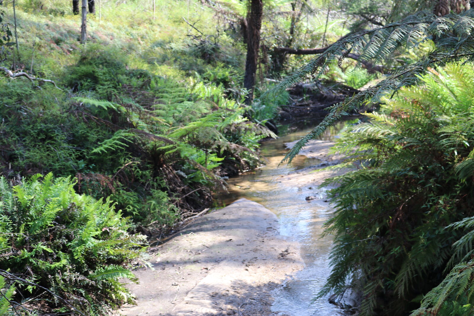 Canon EOS 80D sample photo. Blue, mountains, river, water photography