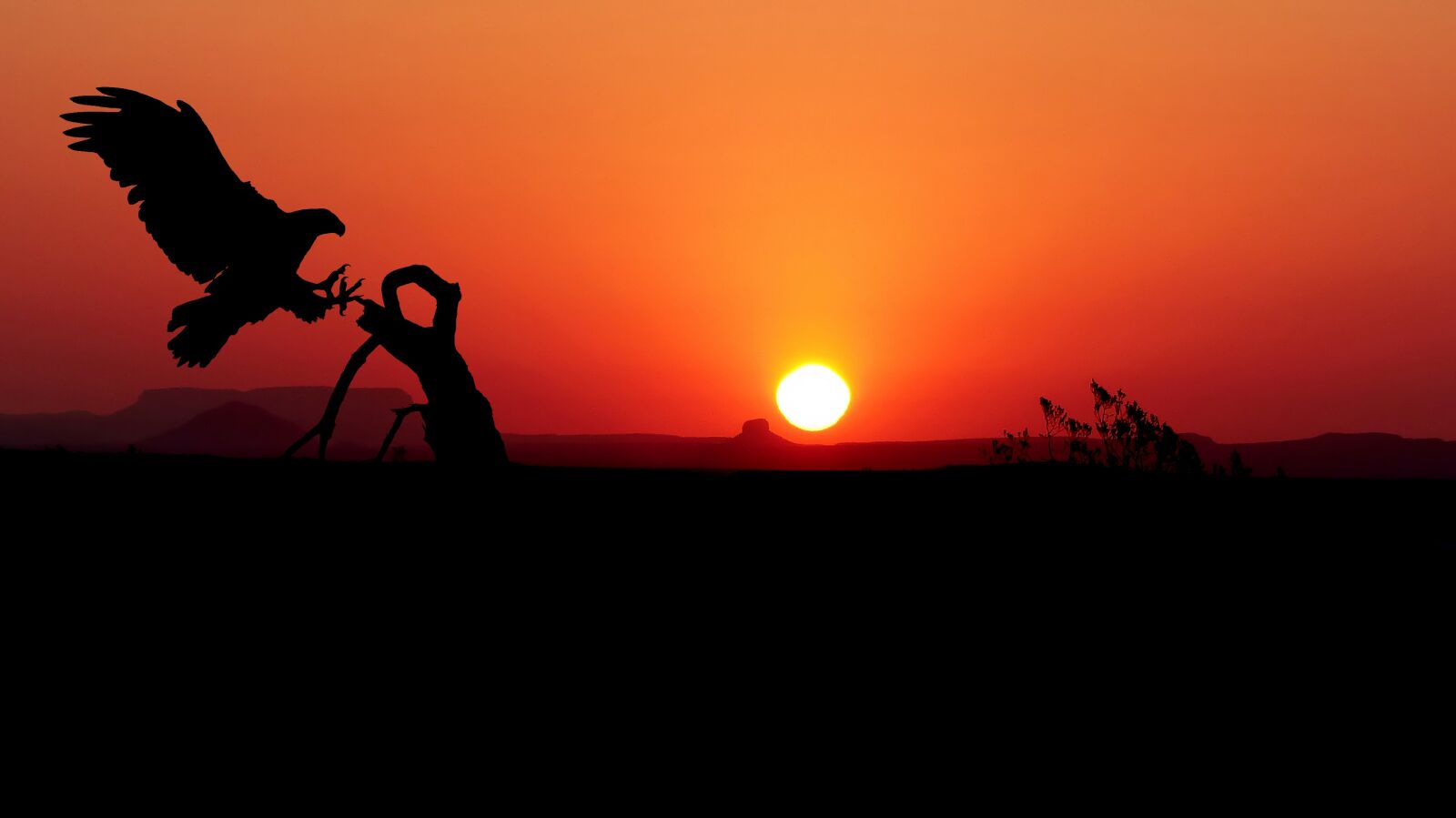 Panasonic Lumix DMC-FZ200 sample photo. Sunset, eagle, color photography