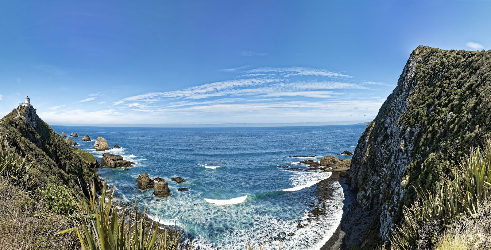 Nikon D500 sample photo. New zealand, nugget point photography