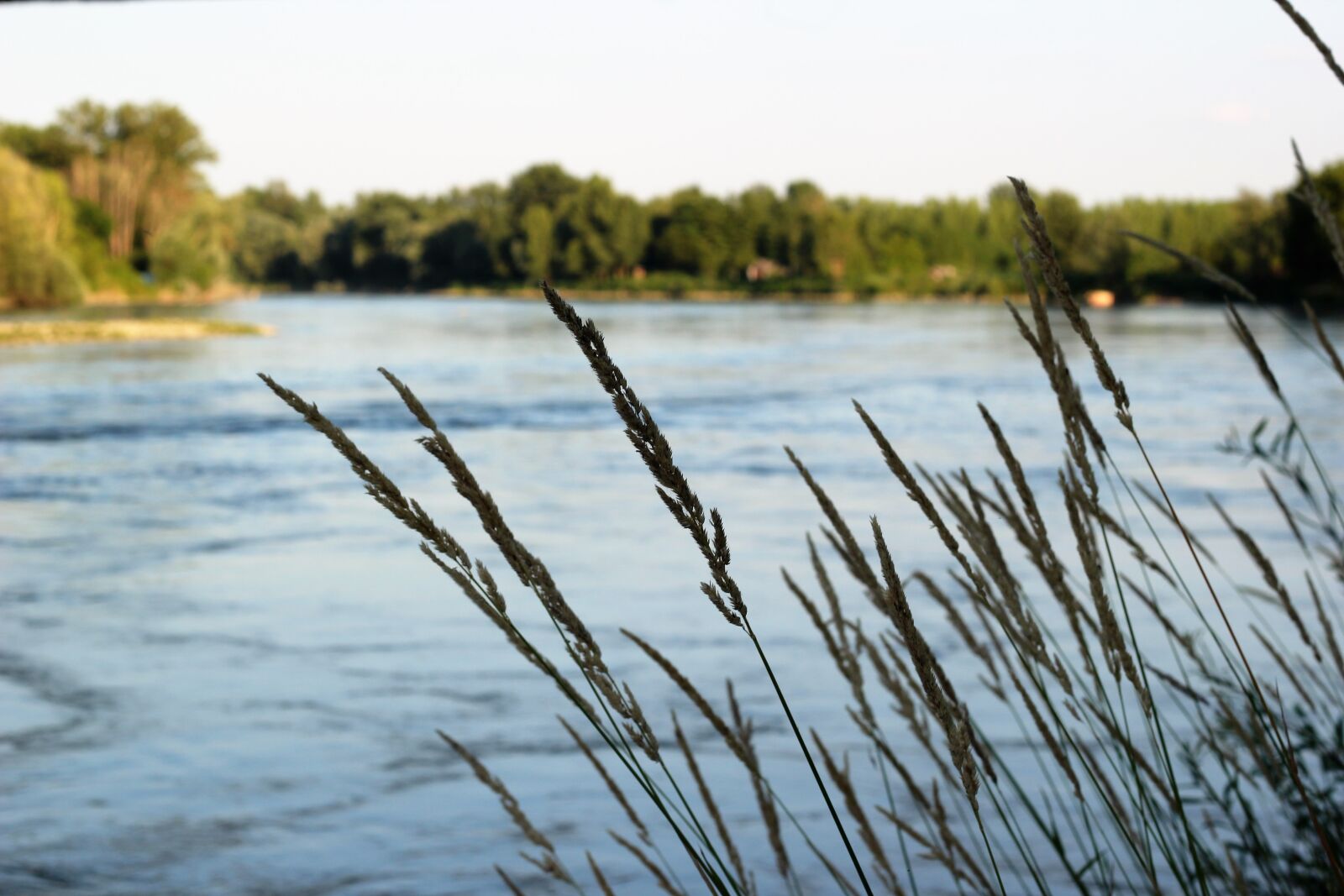 Canon EOS 550D (EOS Rebel T2i / EOS Kiss X4) sample photo. River, water, stream photography