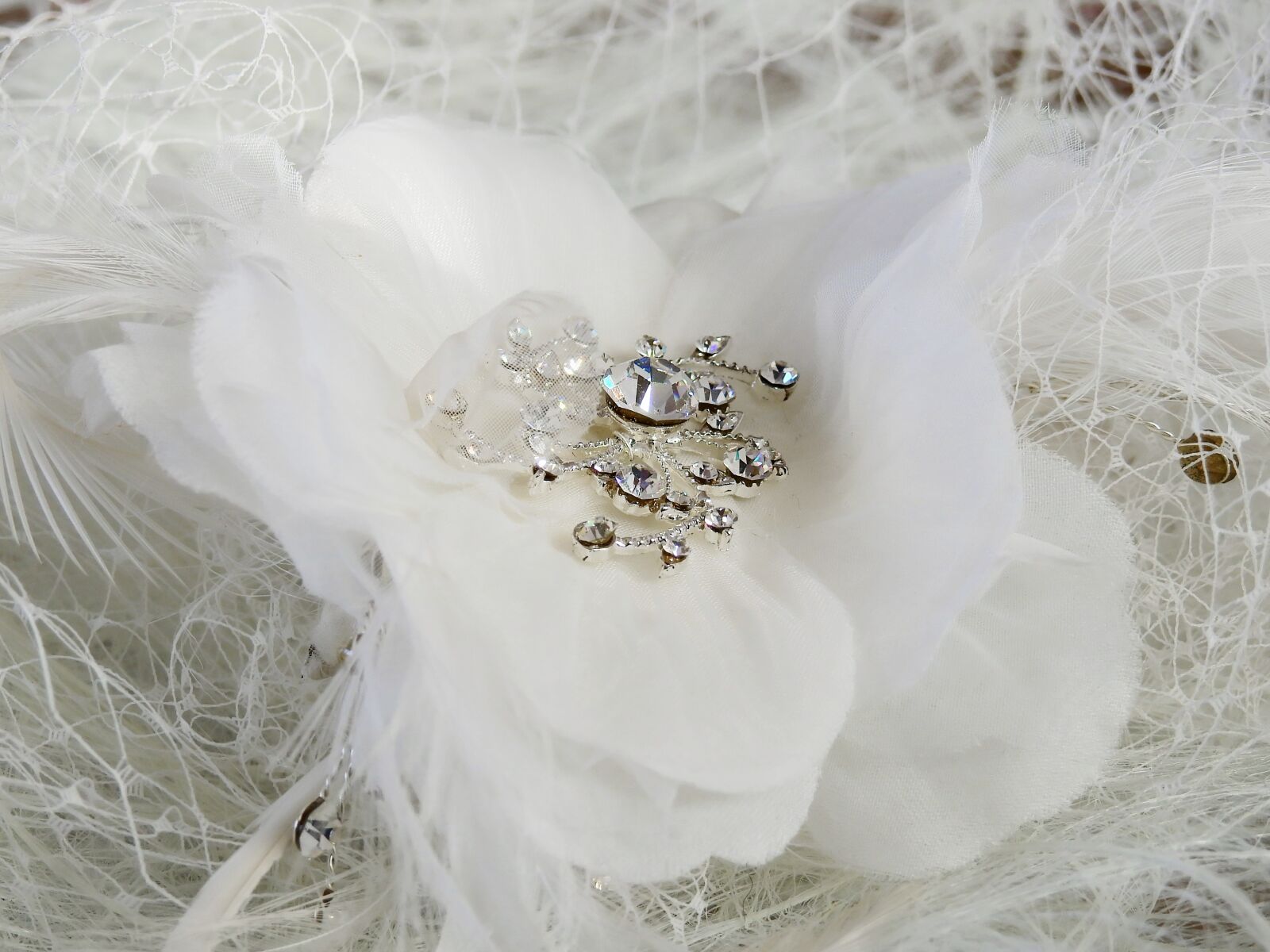 Nikon Coolpix P900 sample photo. Jewellery, deco, decoration photography