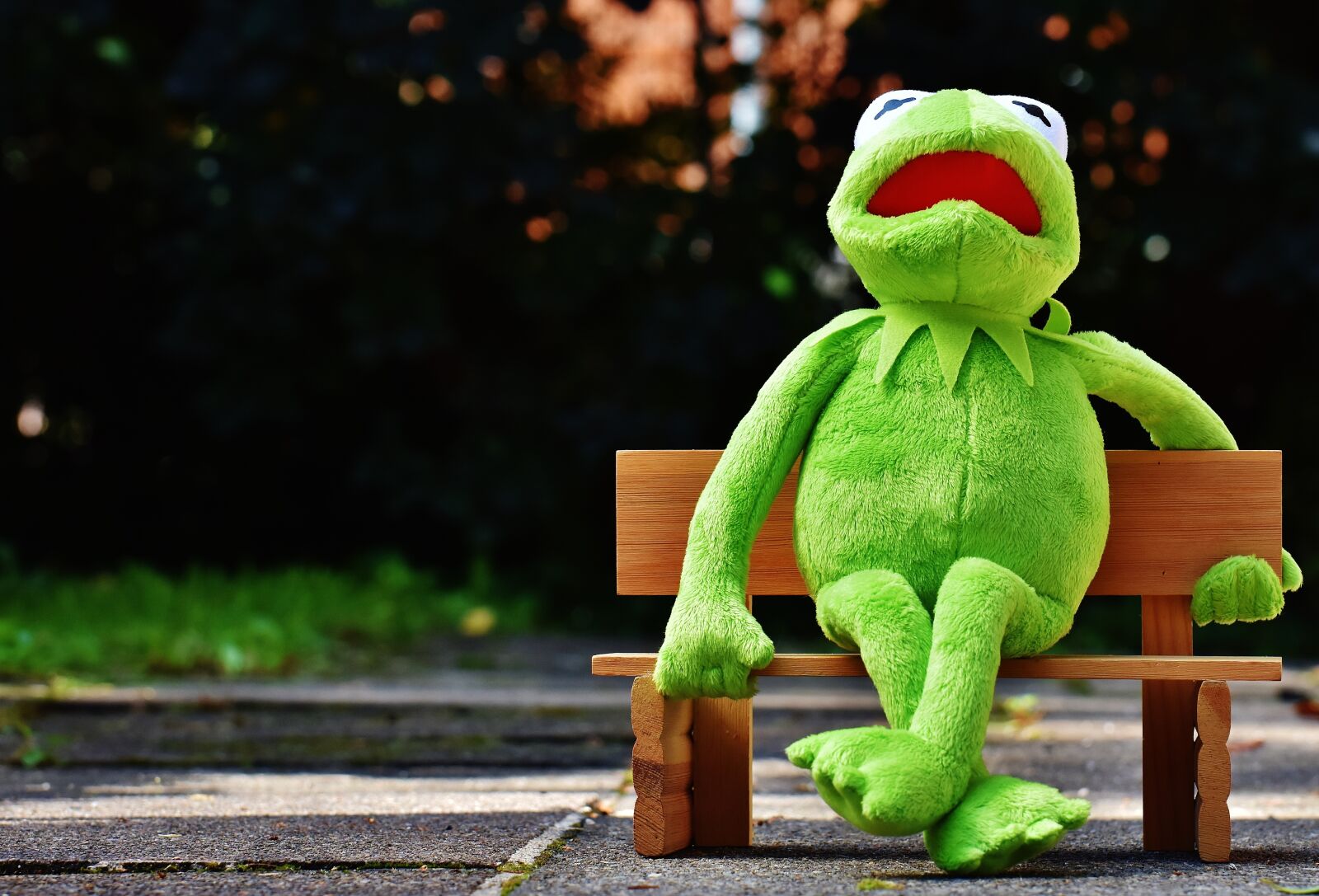 Nikon D7200 sample photo. Kermit, frog, bank photography