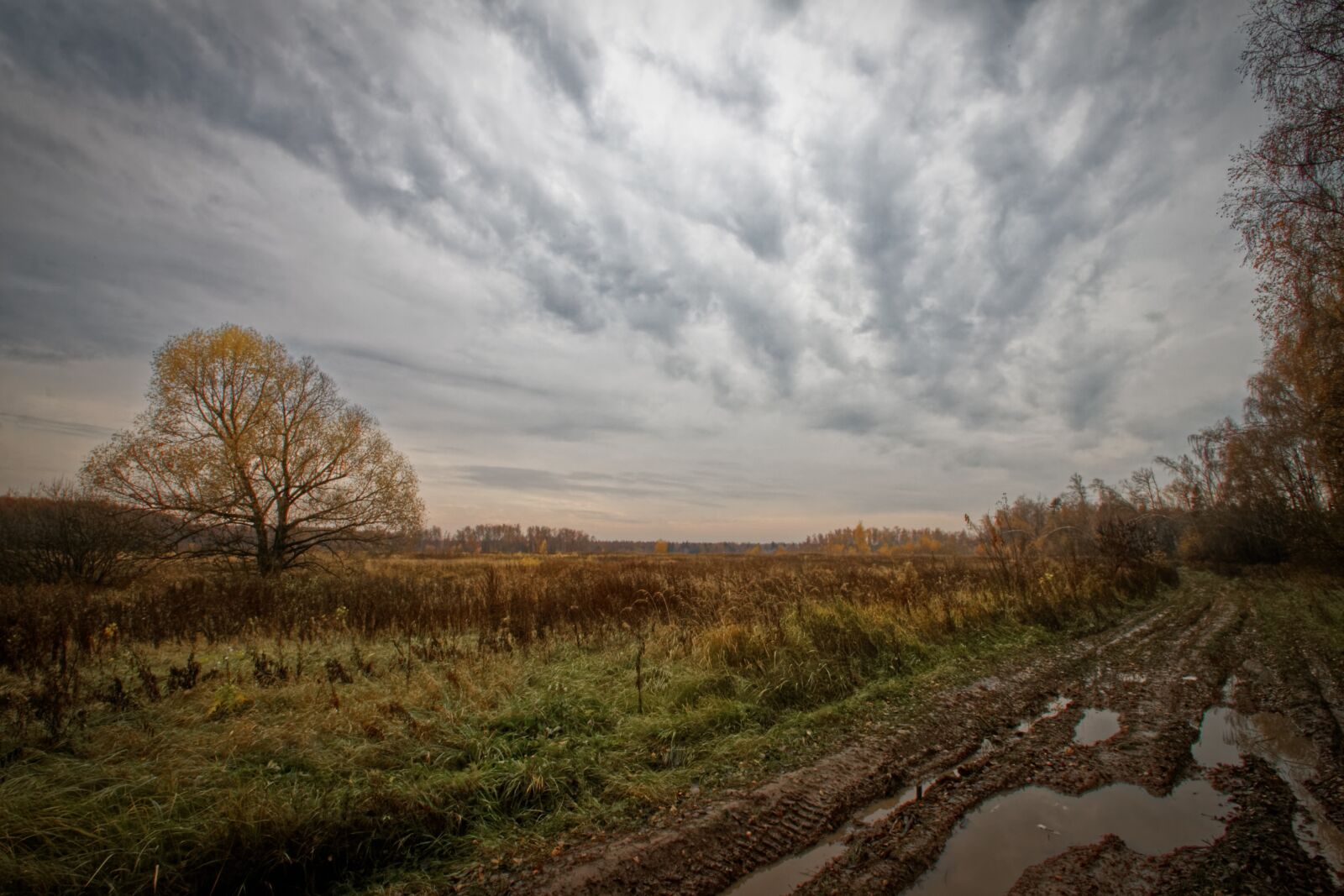 Canon EOS 500D (EOS Rebel T1i / EOS Kiss X3) sample photo. Autumn, sky, clouds photography