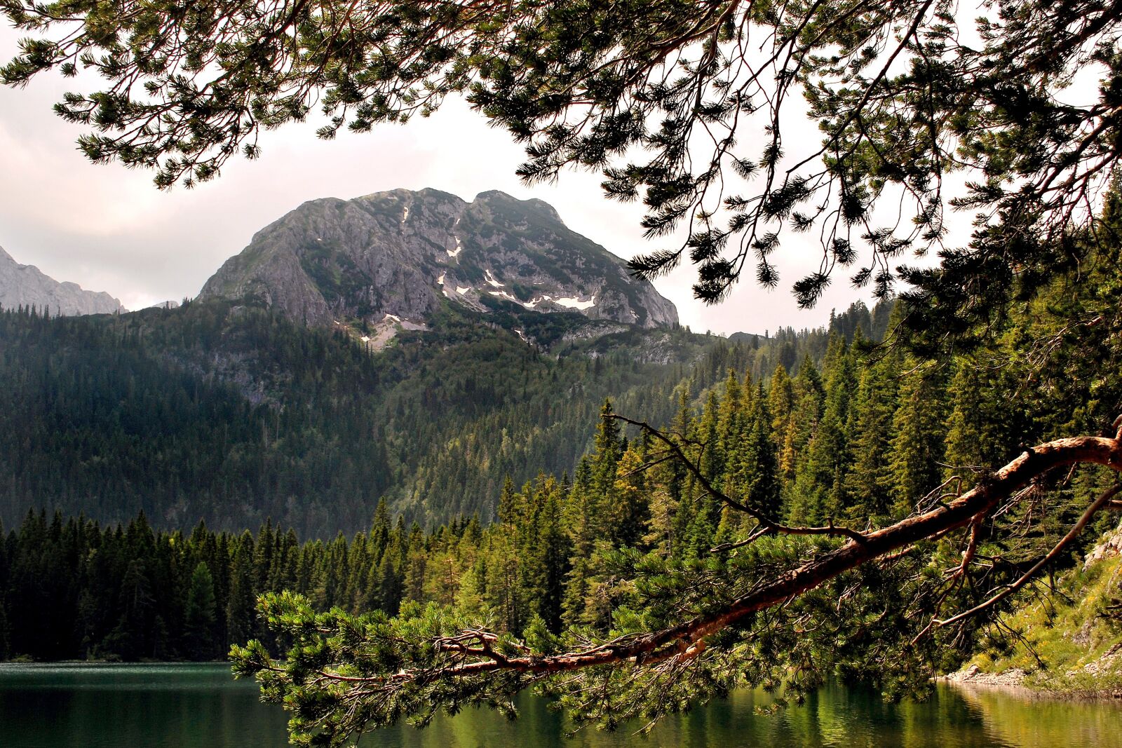 Nikon D60 sample photo. Trees, mountain, landscape photography
