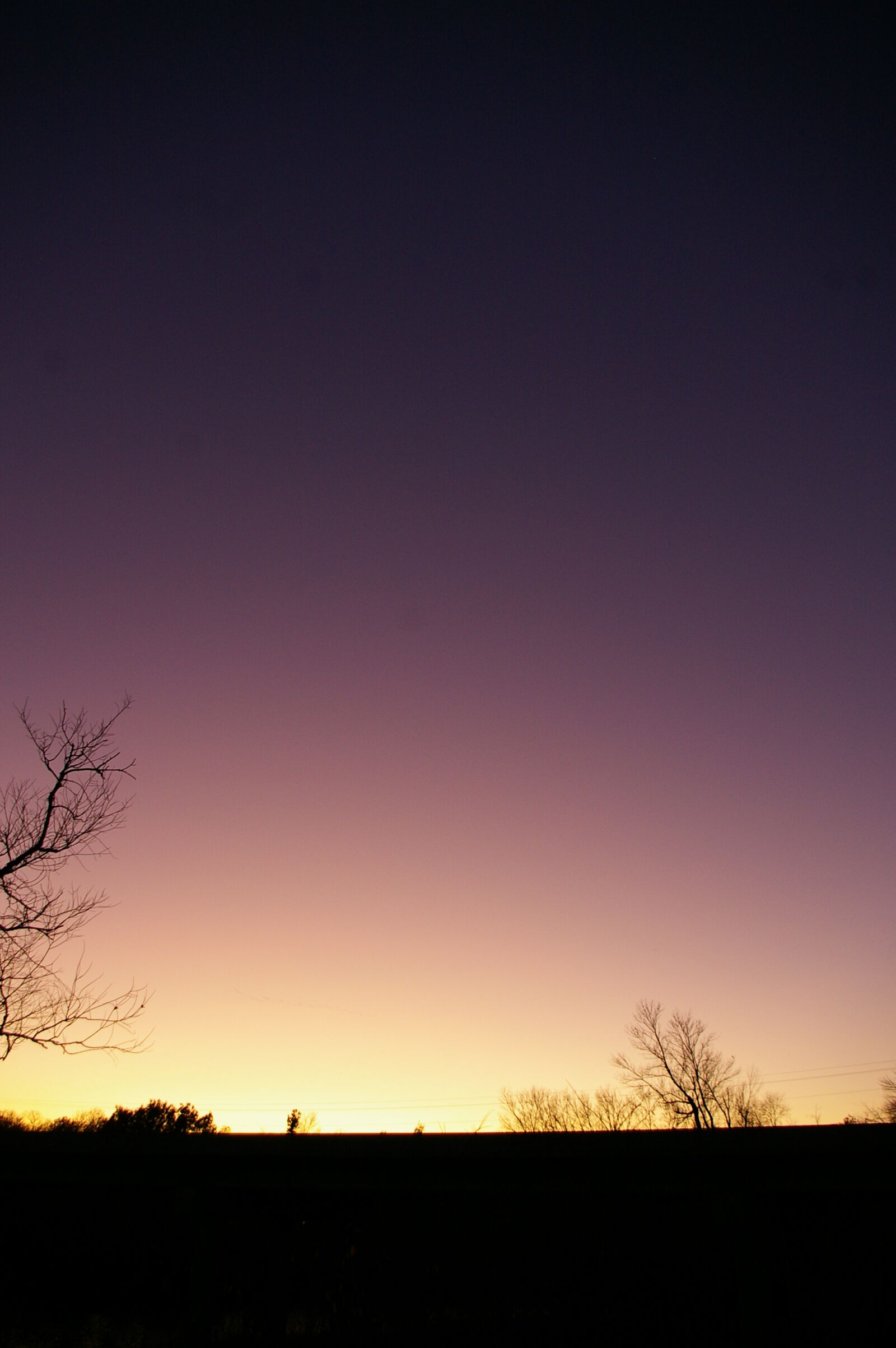 Pentax *ist DL sample photo. Purple, sky, sunset, trees photography