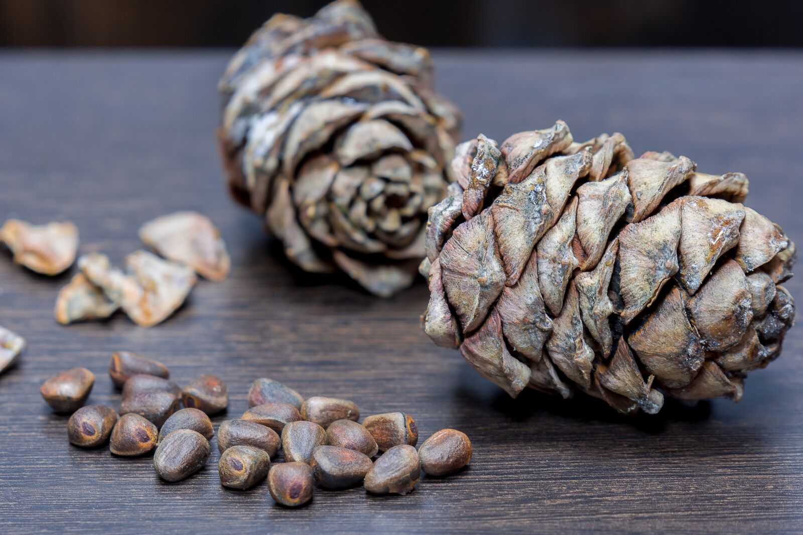Nikon D7200 sample photo. Nuts, cedar, table photography