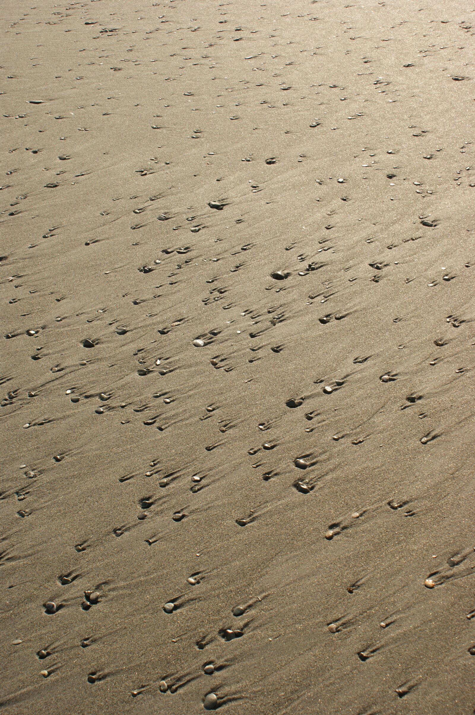 Sony Alpha DSLR-A350 sample photo. Moving, stones, sand photography