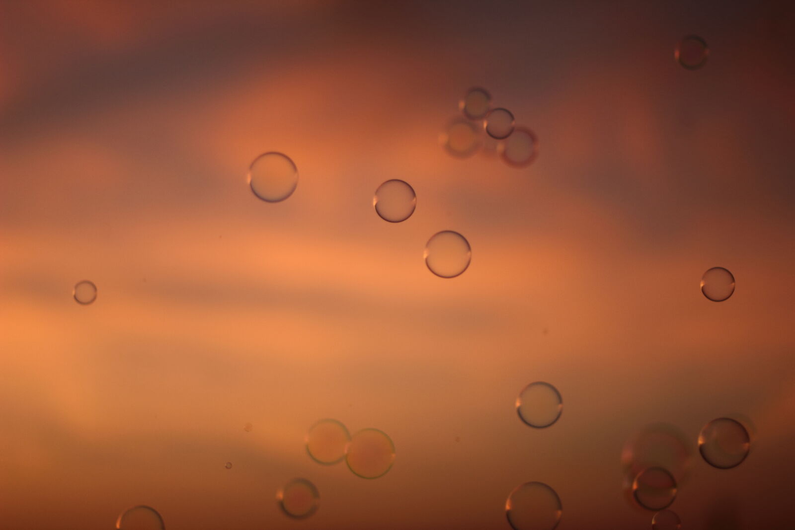 Canon EF 50mm F1.8 II sample photo. Water, drops, in, time photography