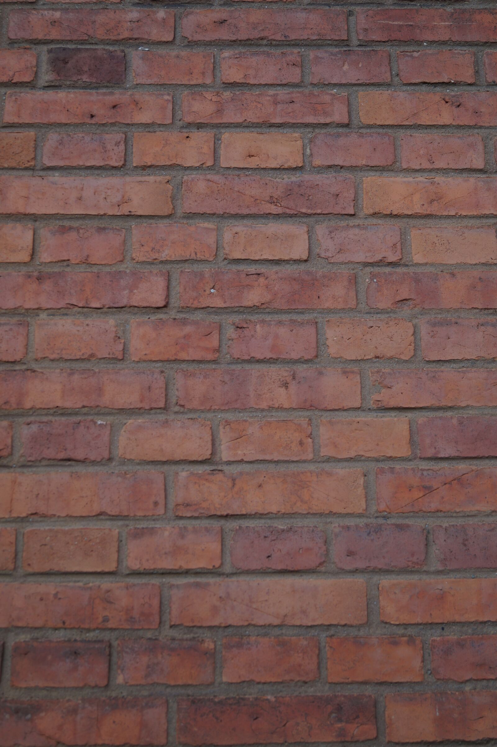 Sony DT 18-55mm F3.5-5.6 SAM II sample photo. Wall, stone wall, bricks photography