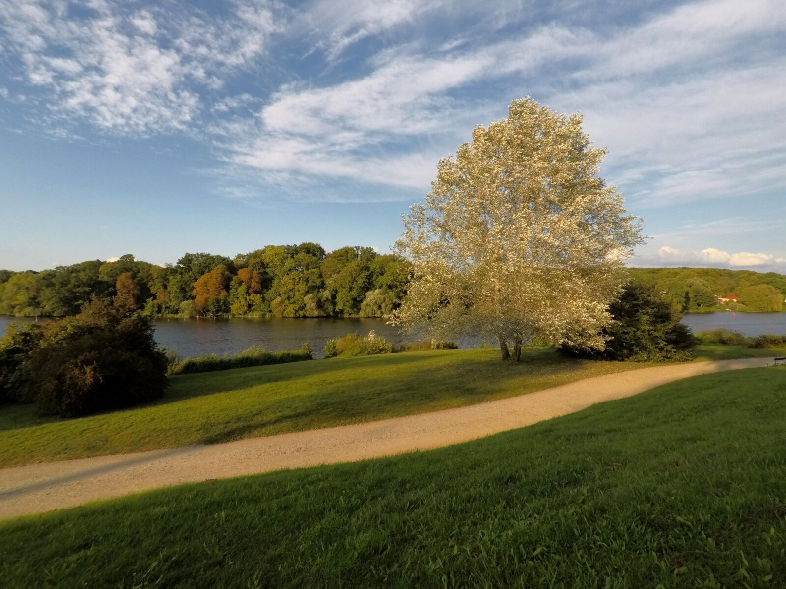 GoPro Hero5 Black sample photo. Grass, nature, landscape photography
