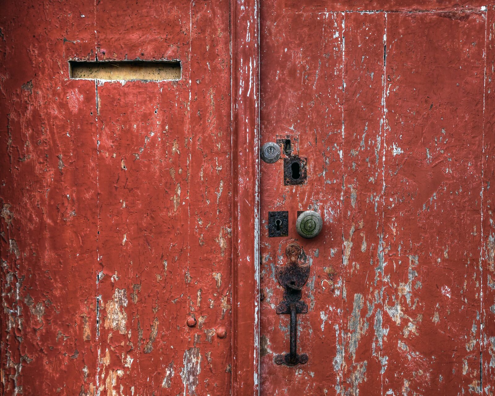 Nikon D500 sample photo. Door, wood, red photography