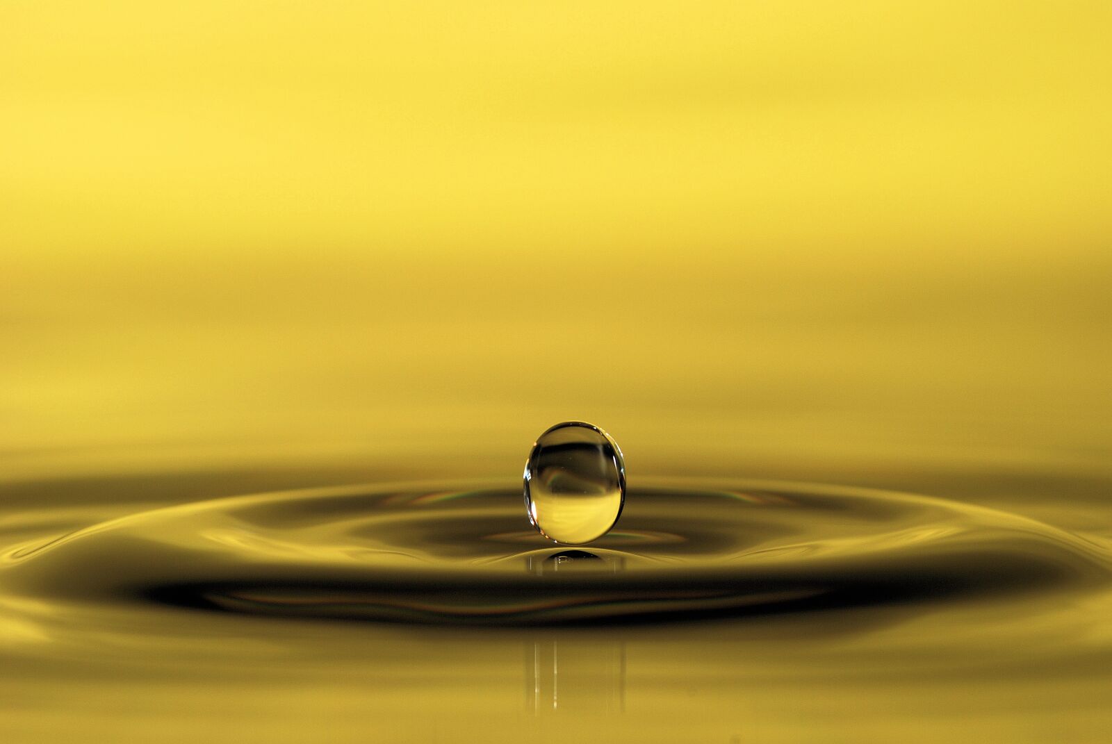 Nikon D80 sample photo. Water, drip, drop of photography