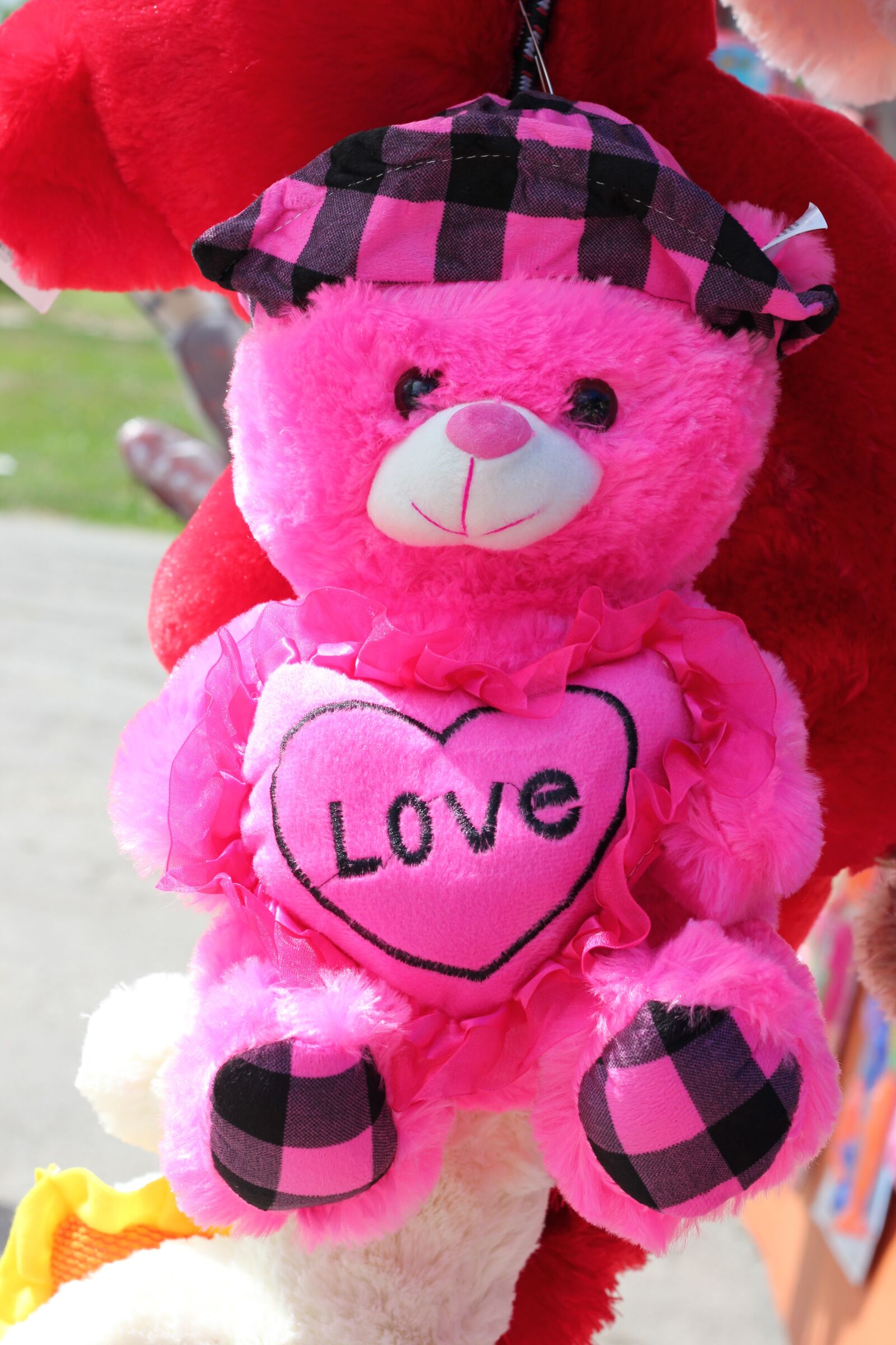 Canon EOS 550D (EOS Rebel T2i / EOS Kiss X4) sample photo. Pink teddy bear, colorful photography