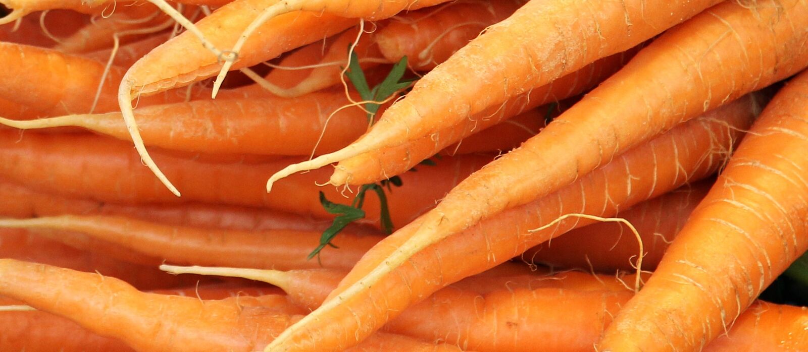 Canon EOS 550D (EOS Rebel T2i / EOS Kiss X4) sample photo. Carrots, farmers local market photography