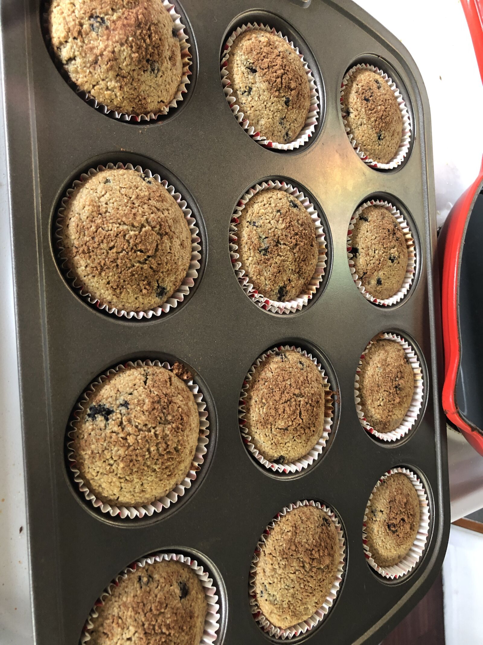 iPhone 8 back camera 3.99mm f/1.8 sample photo. Blueberry muffins, muffin, muffin photography