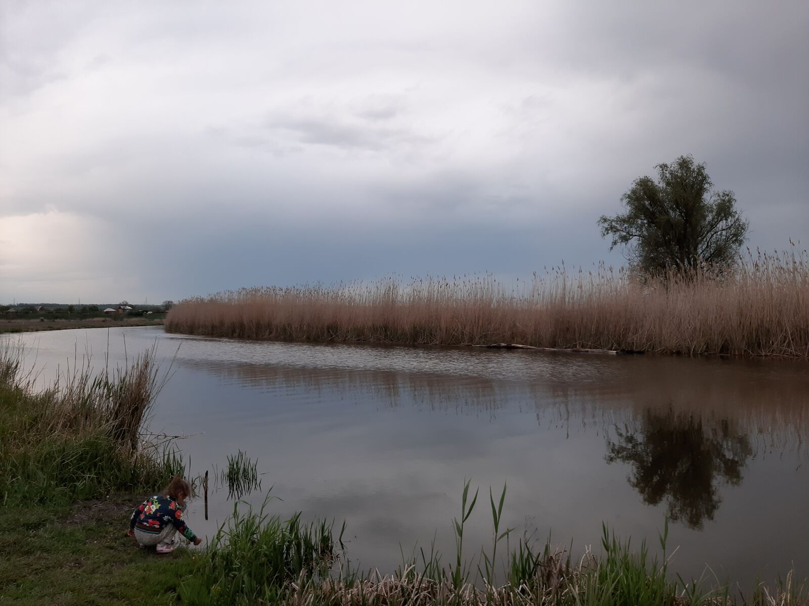 Samsung Galaxy A50 sample photo. Mius, river, nature photography