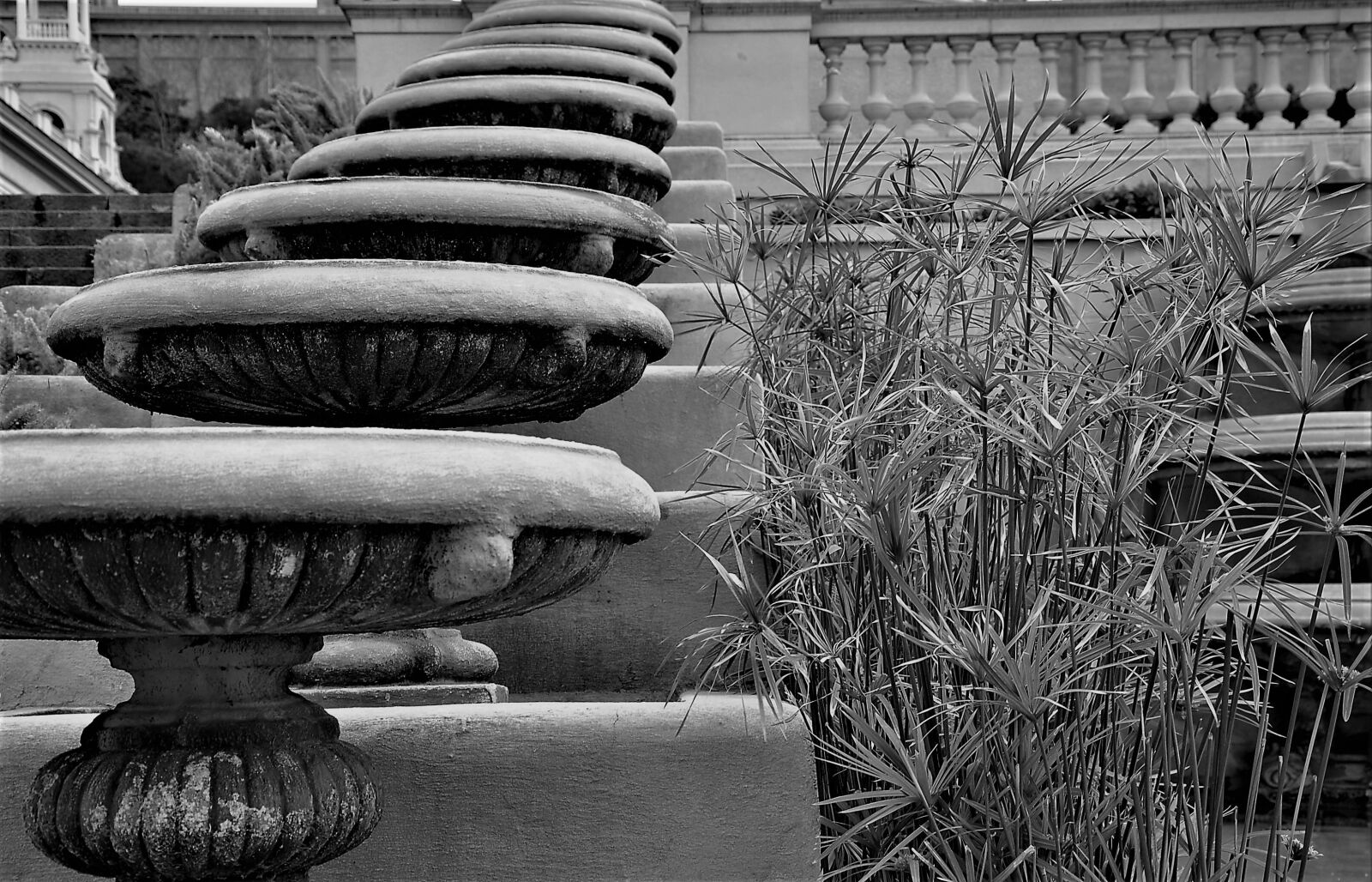 Nikon D90 sample photo. Spain, barcelona, park photography
