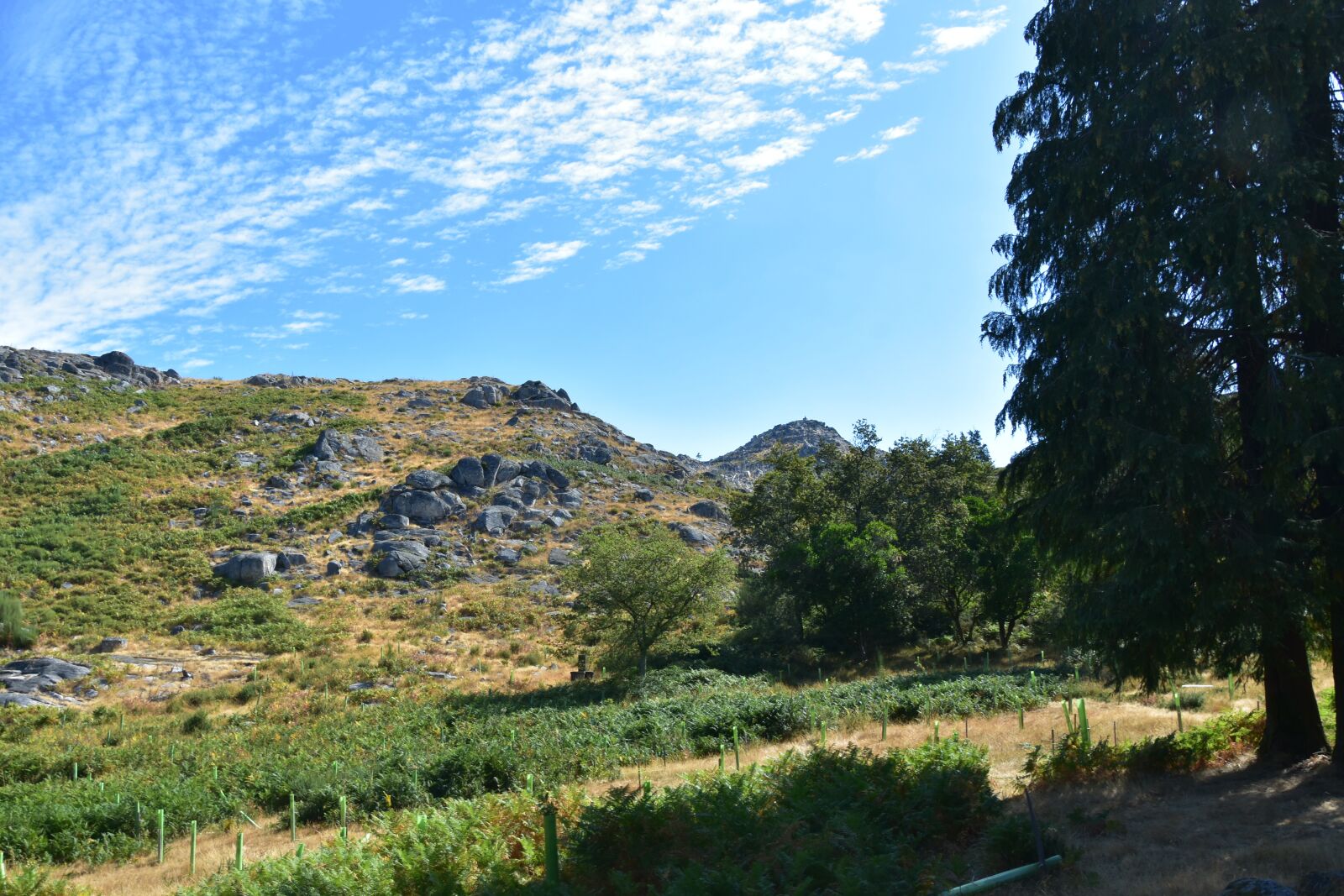 Nikon D3400 sample photo
