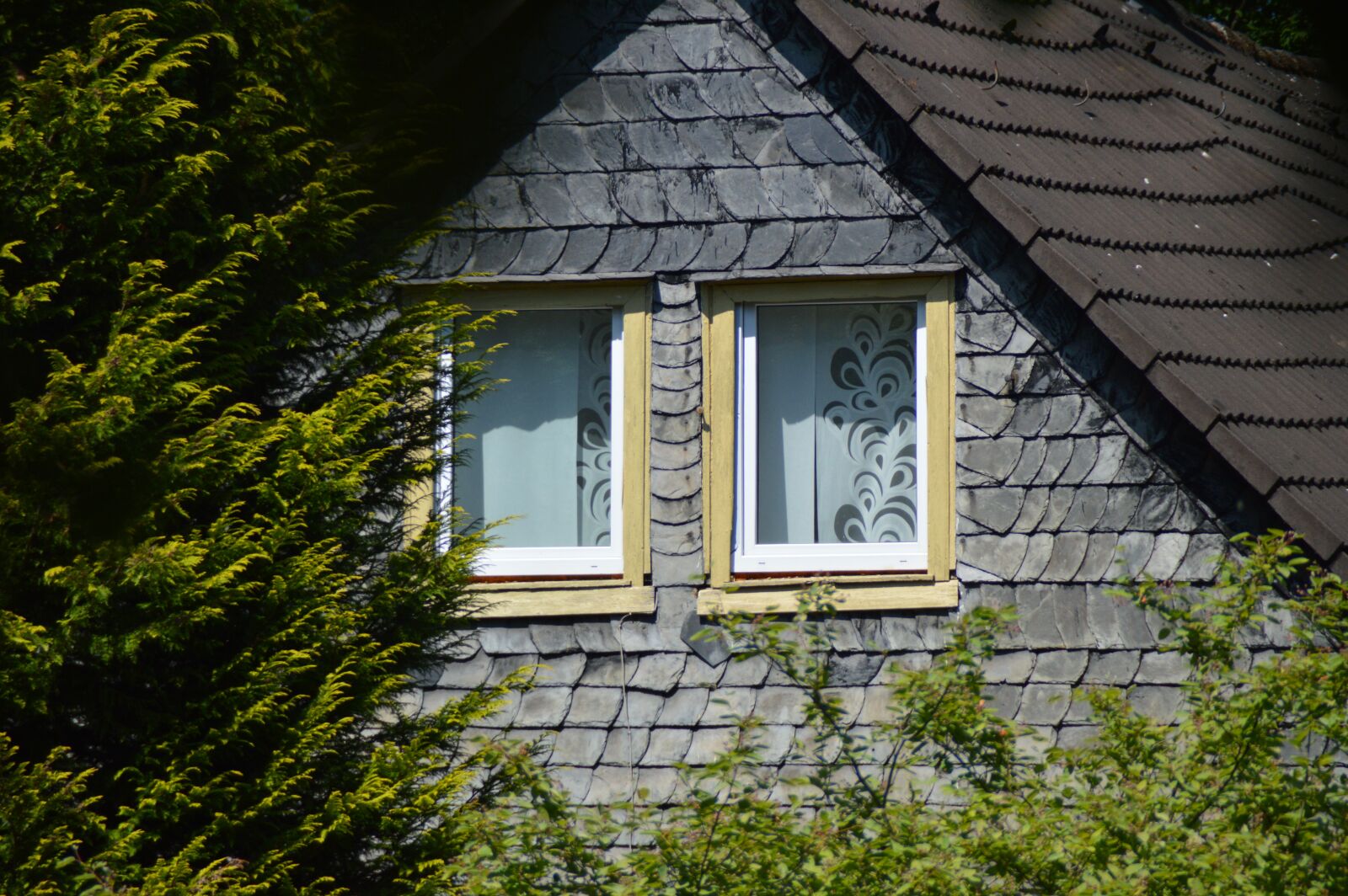 Nikon D3200 sample photo. House, window, facade photography