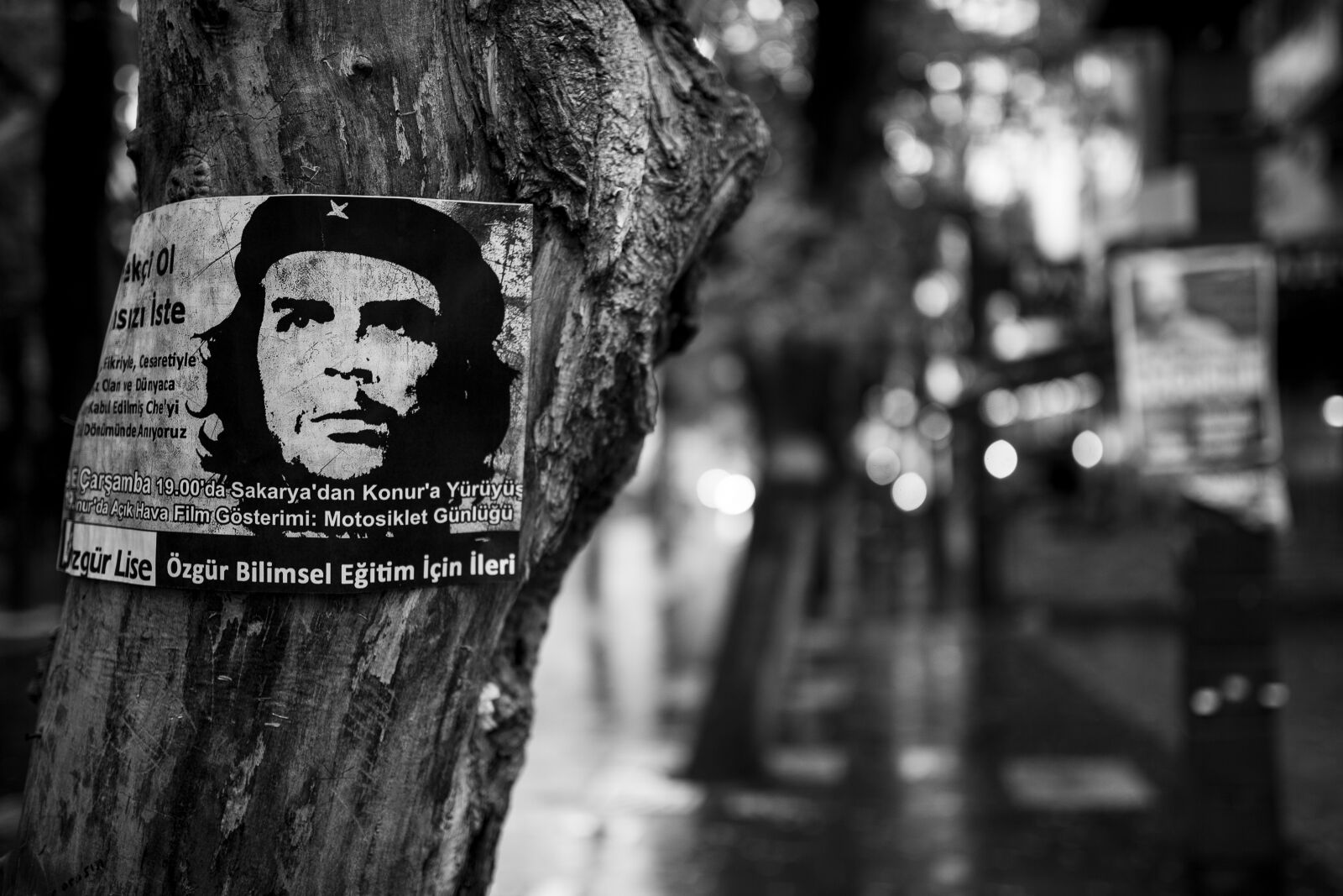 Canon EOS 5D Mark II sample photo. Che guevara, tree, poster photography