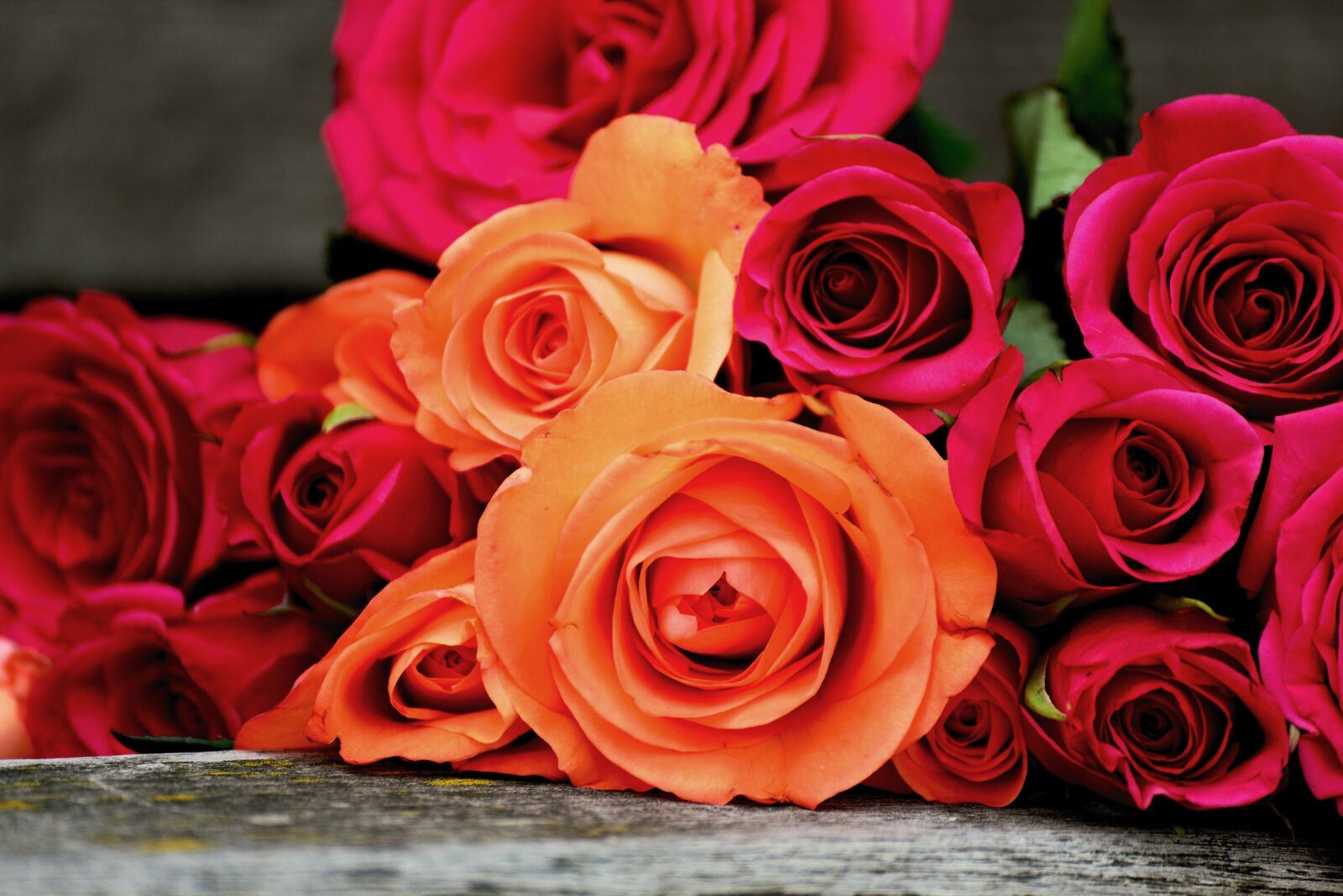 Nikon D610 sample photo. Roses, bouquet of roses photography