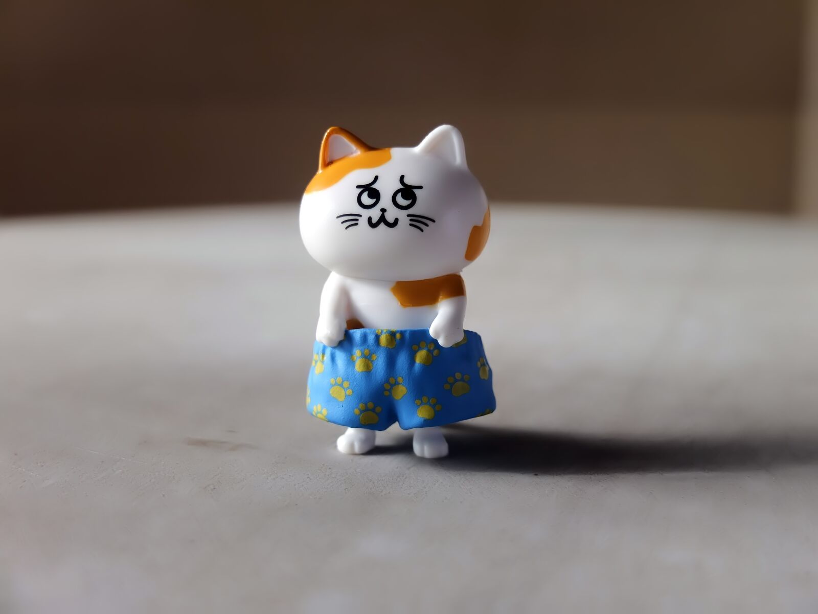 Fujifilm X10 sample photo. Kitten, cat, pet photography