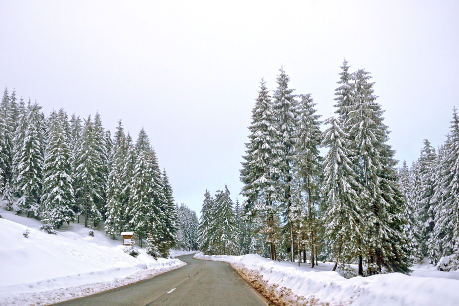 Nikon D5300 sample photo. Snow, winter, wood photography