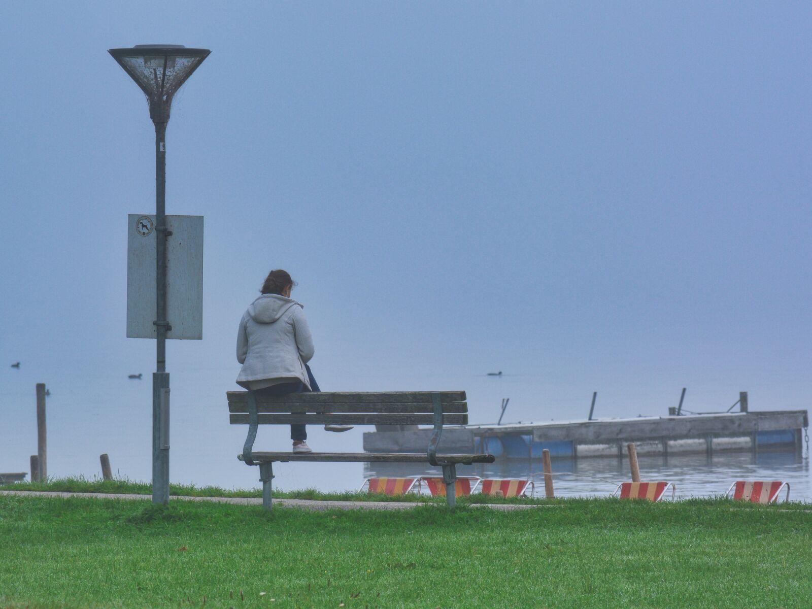 Nikon D7100 sample photo. Fog, bench, person photography