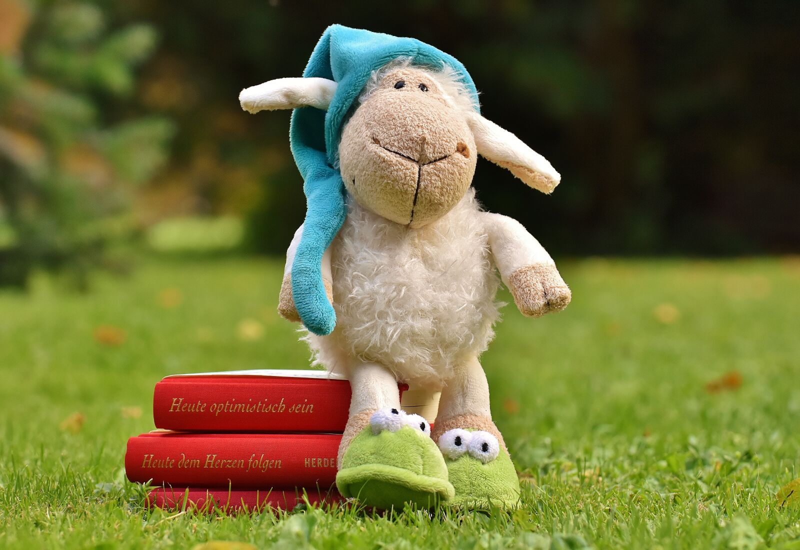 Nikon D7200 sample photo. Sheep, sleepyhead, meadow photography