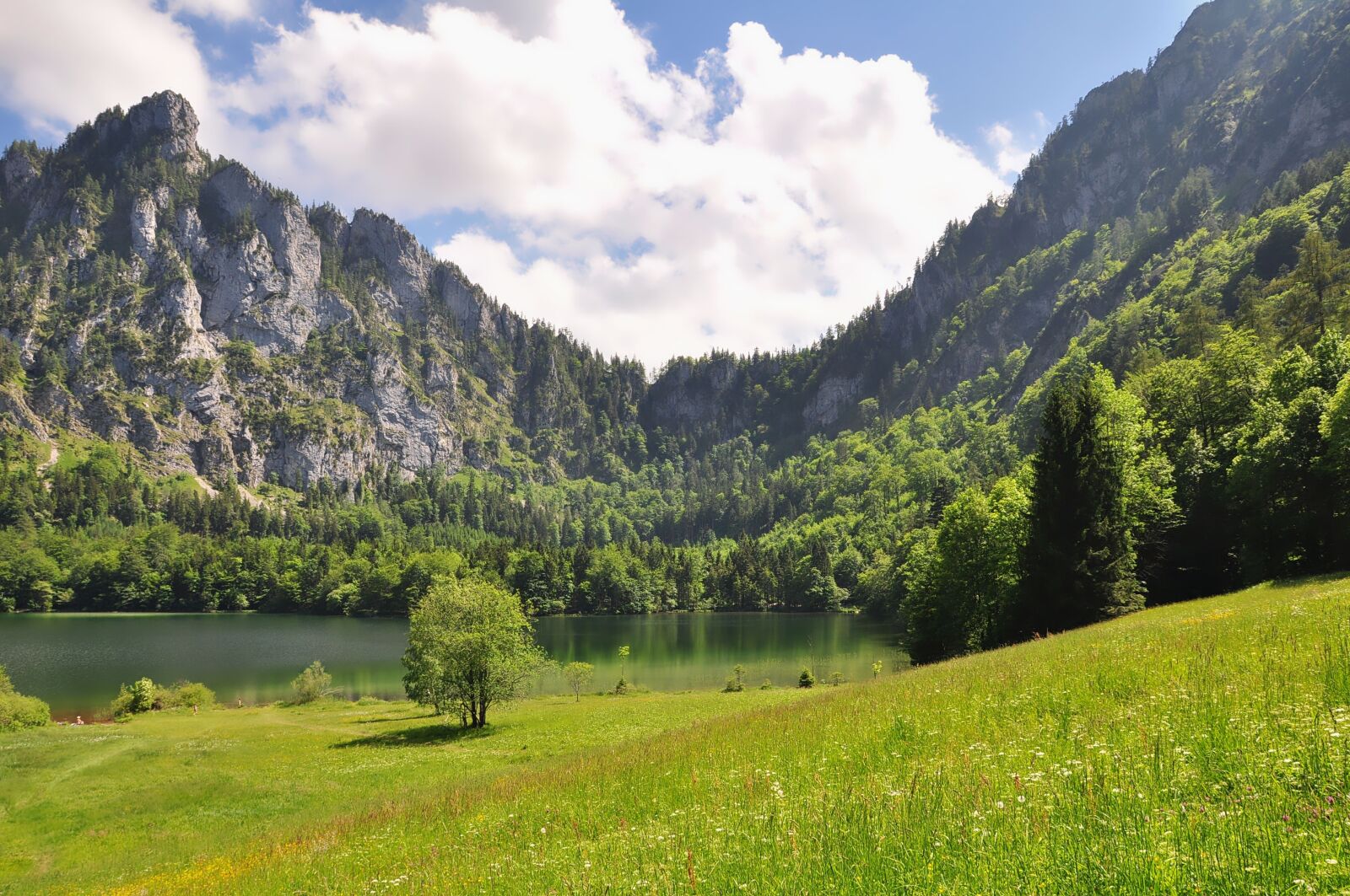 Nikon D90 sample photo. Nature, landscape, mountains photography