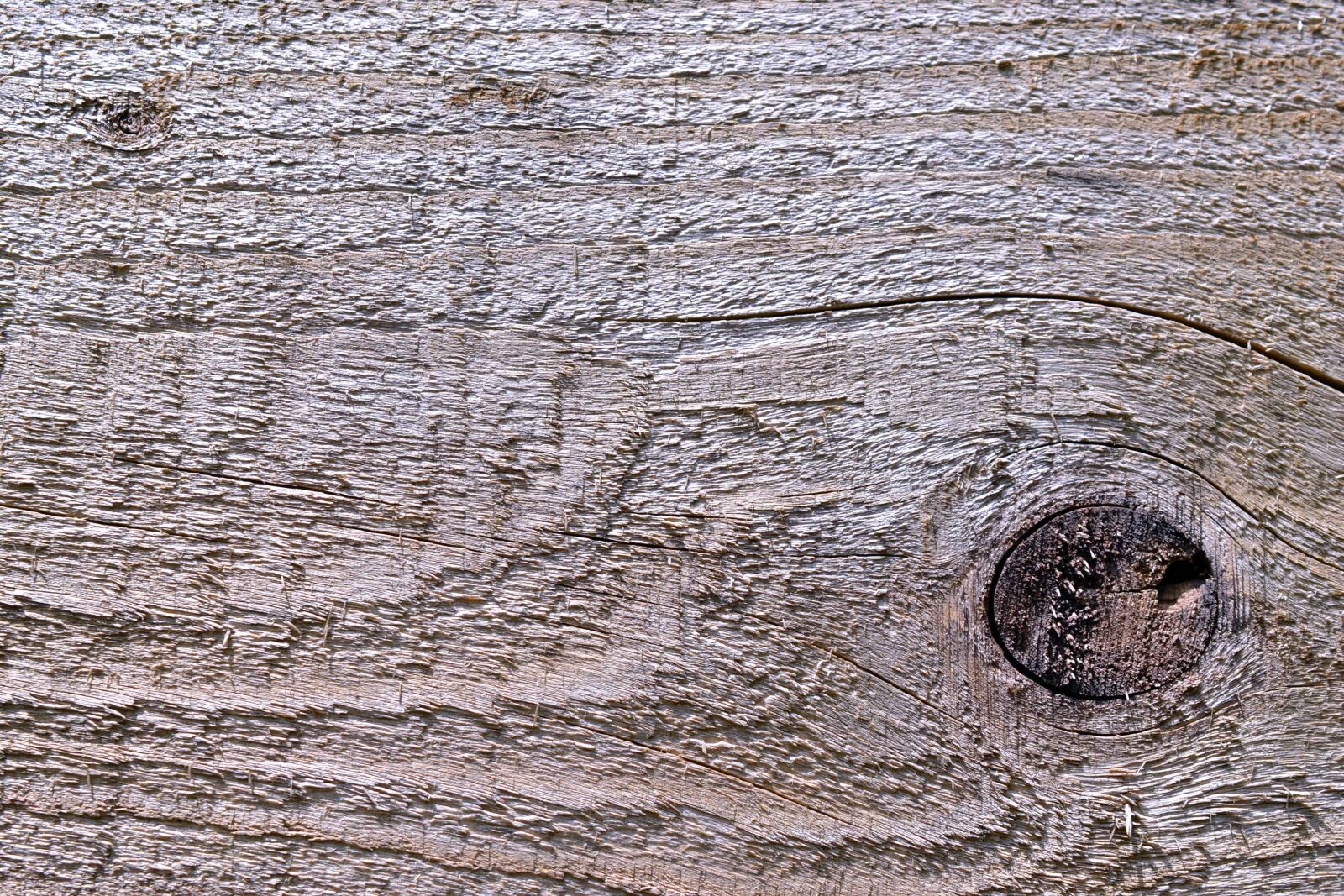 Nikon D3100 sample photo. Wood knot, pattern, wood photography