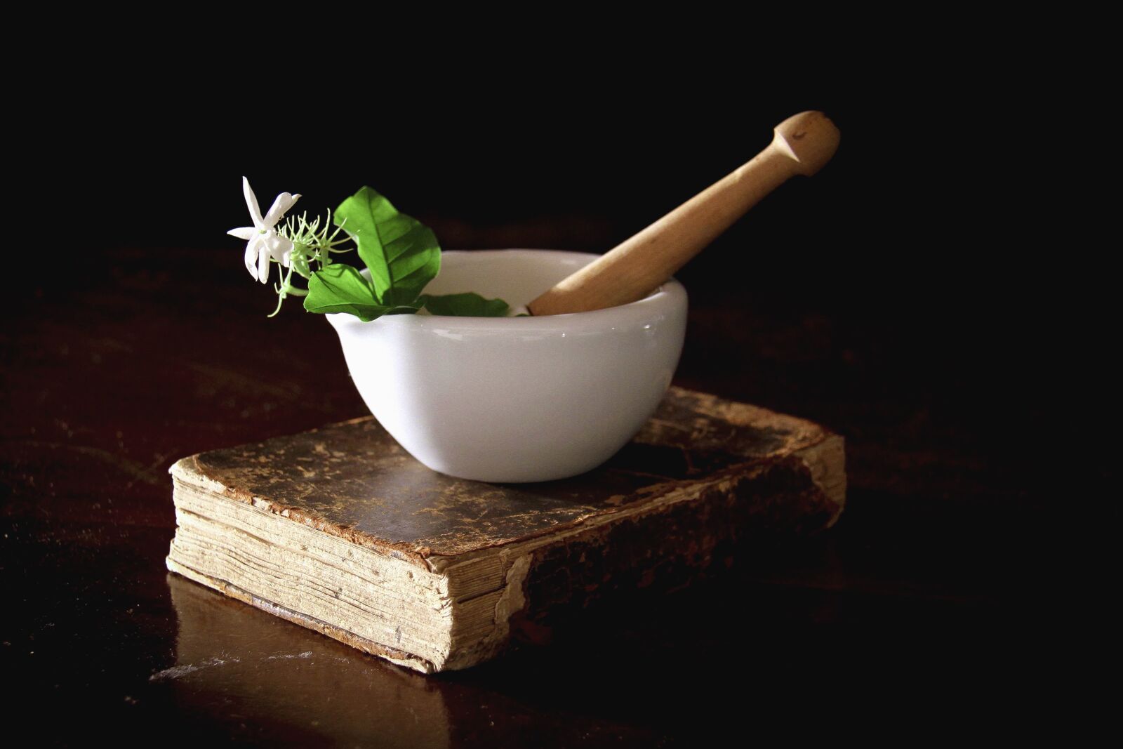 Canon EOS 7D sample photo. Bowl, porcelain, plant, book photography