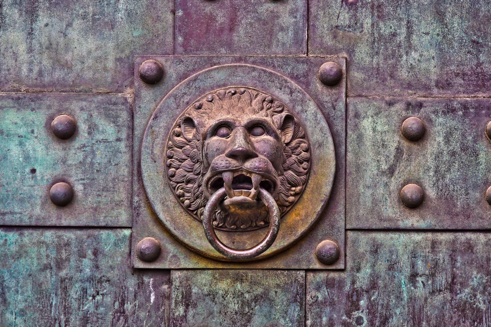 Olympus OM-D E-M10 sample photo. Goal, portal, door photography