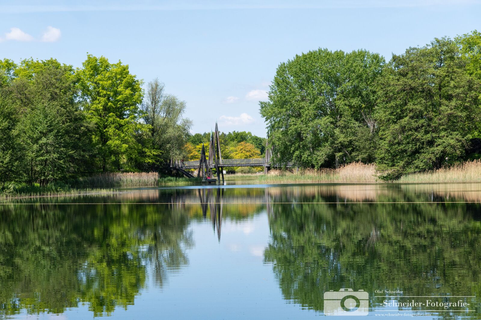 Nikon D850 sample photo. Britzer garden photography