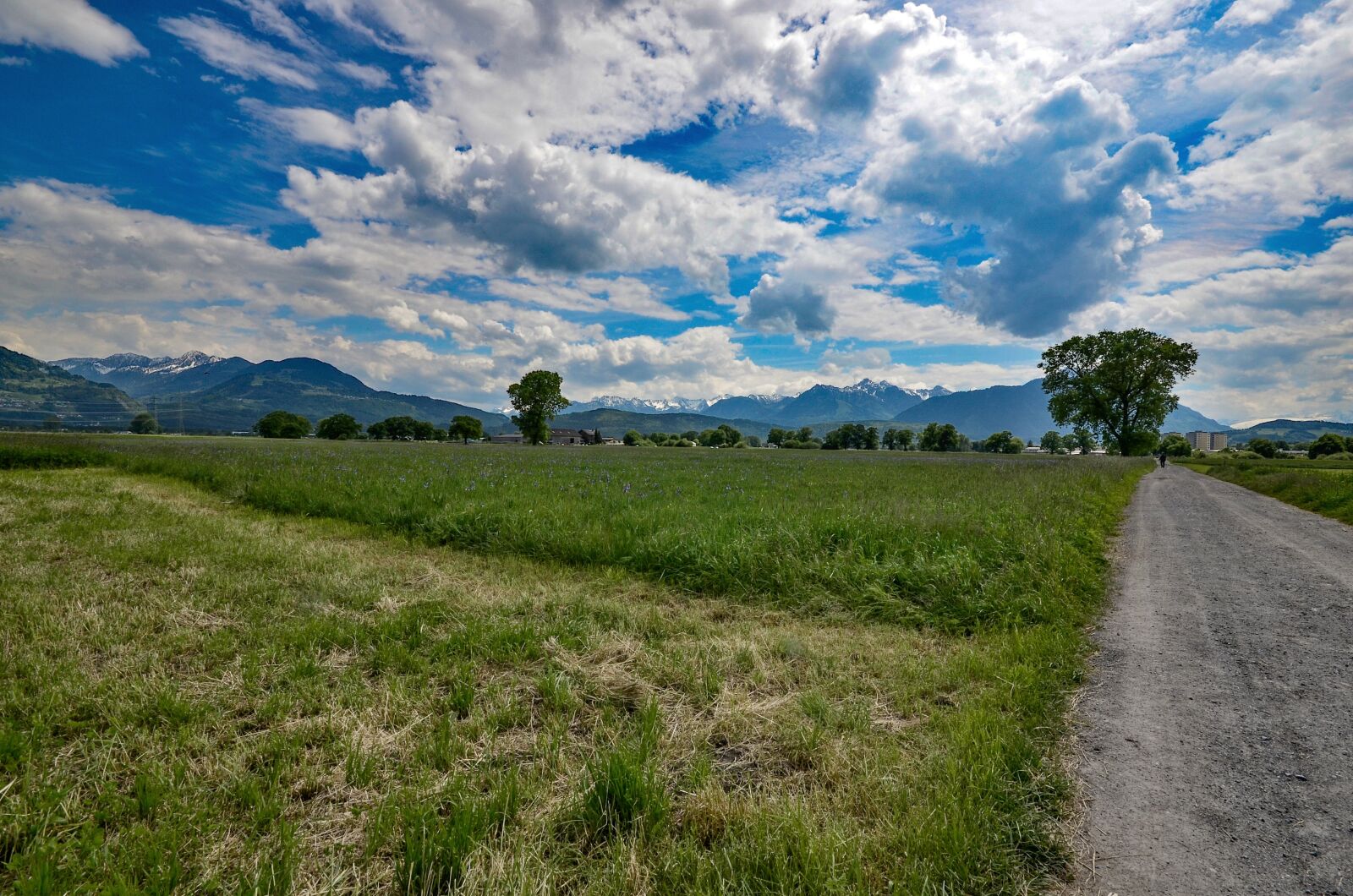 Nikon D7000 sample photo. Field, meadow, landscape photography