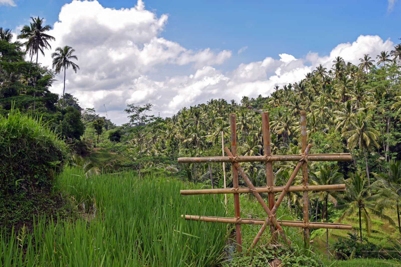 Nikon D3300 sample photo. Bali, indonesia, travel photography