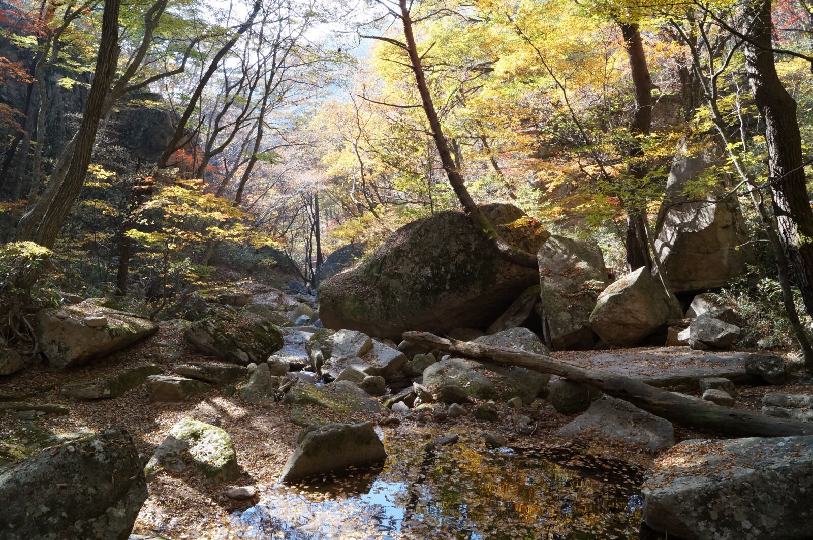 Sony SLT-A57 sample photo. Korea, chungbuk, songnisan photography