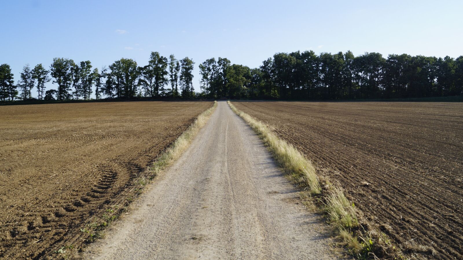 Sony DT 18-55mm F3.5-5.6 SAM II sample photo. Landscape, road, field photography