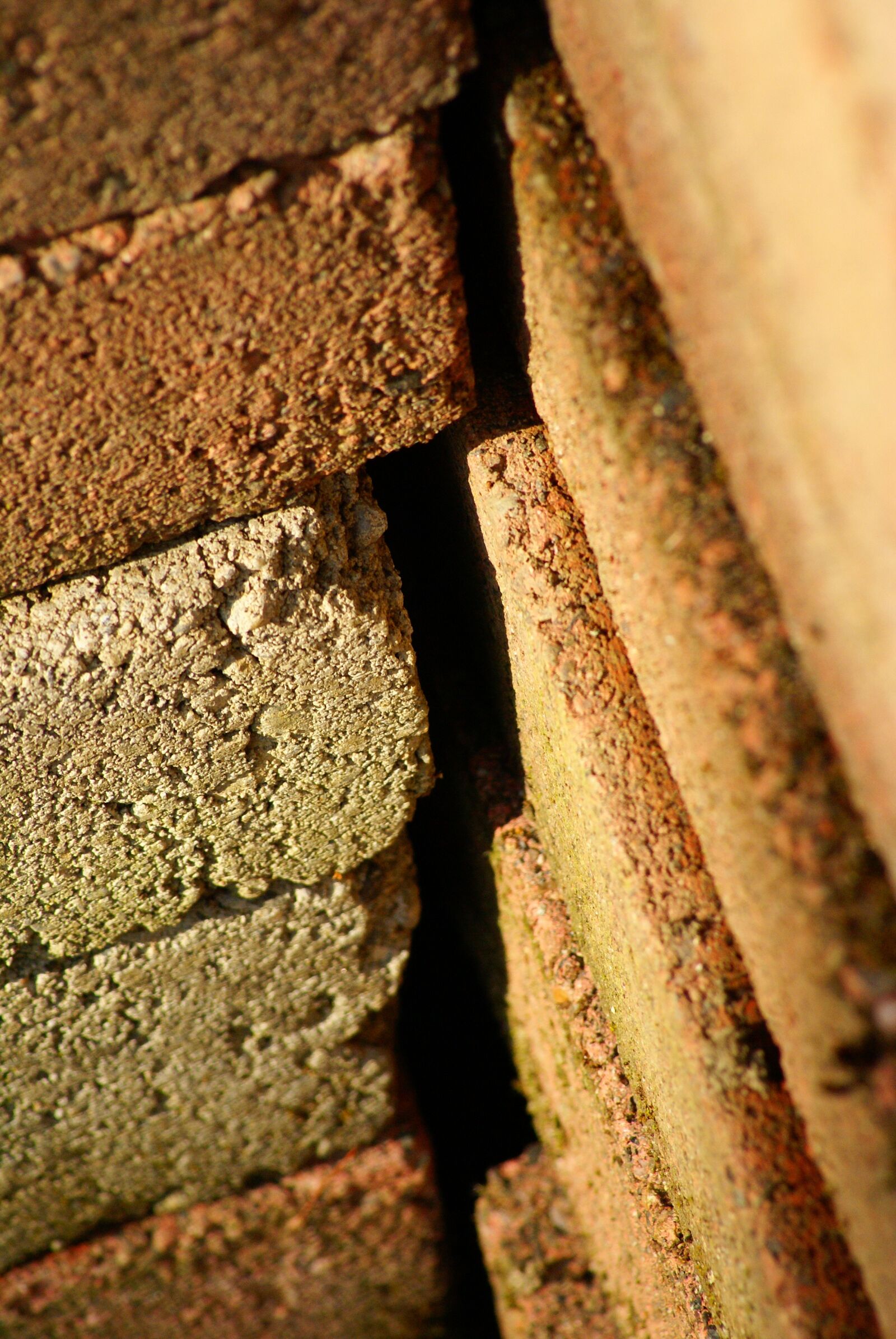 Sony Alpha DSLR-A100 sample photo. Brick, texture, pattern photography
