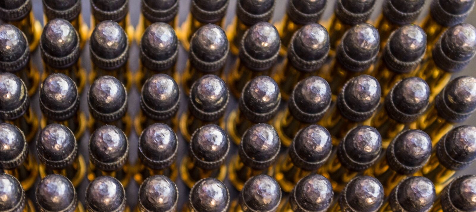 Nikon D3100 sample photo. Bullets, lead, brass photography