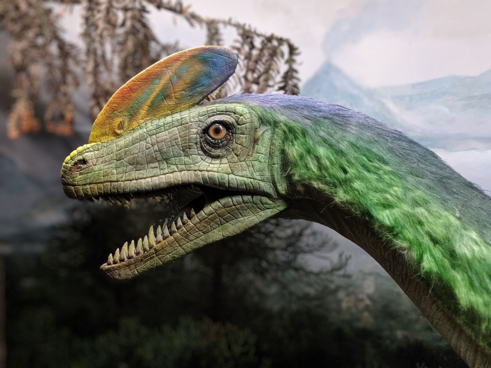 Google Pixel 3 sample photo. Dinosaur, extinct, guanlong wucaii photography