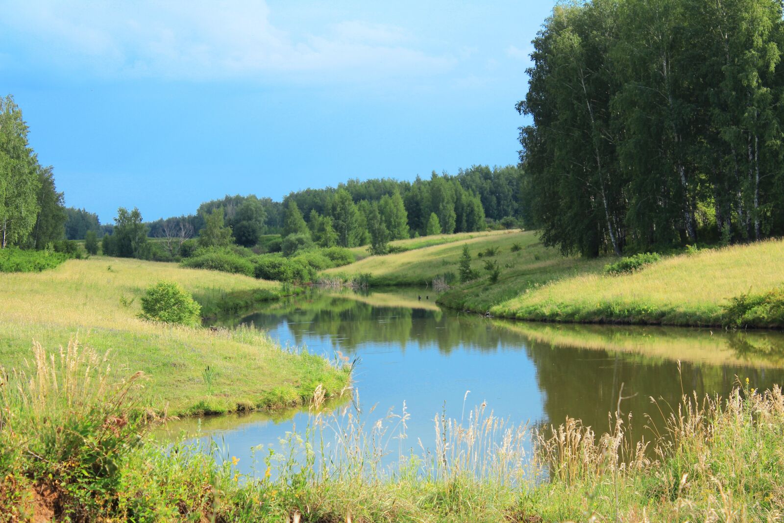 Canon EOS 600D (Rebel EOS T3i / EOS Kiss X5) sample photo. River, fields, nature photography