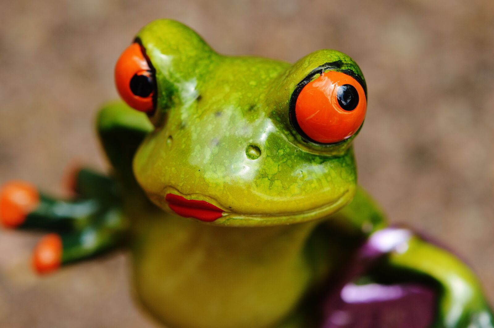 Nikon D3200 sample photo. Frog, chick, funny photography