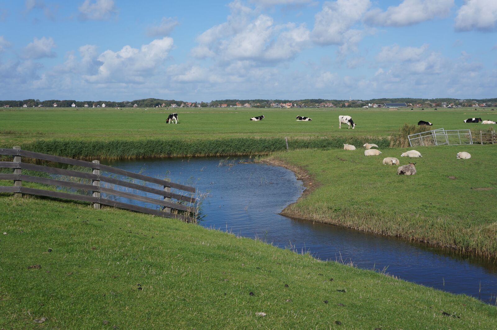 Sony Alpha NEX-5N + Sony E 18-55mm F3.5-5.6 OSS sample photo. Terschellinger polder at groin photography